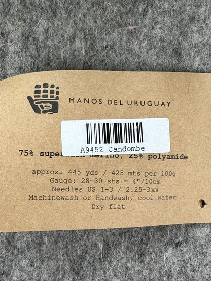 Manos Del Uruguay Alegria - Superwash Merino Yarn  - Candombe - 2 Skeins