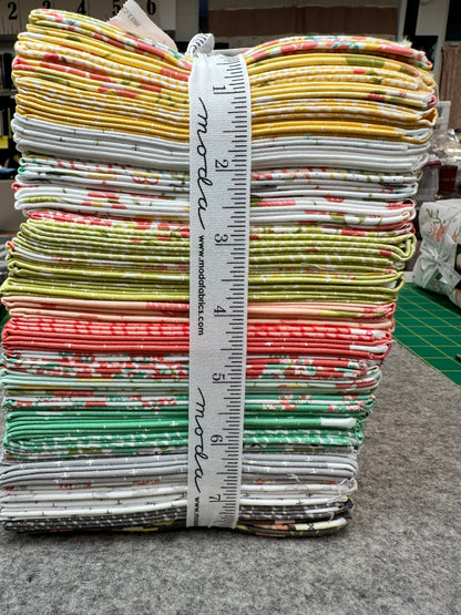 Moda Fat Quarter Bundle - STRAWBERRY JAM by Corey Yoder 100% Cotton