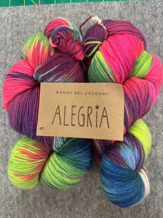 Alegria Merino Yarn Colorful Candombe