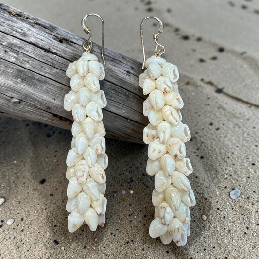 two inch Momi shell earrings pikake style